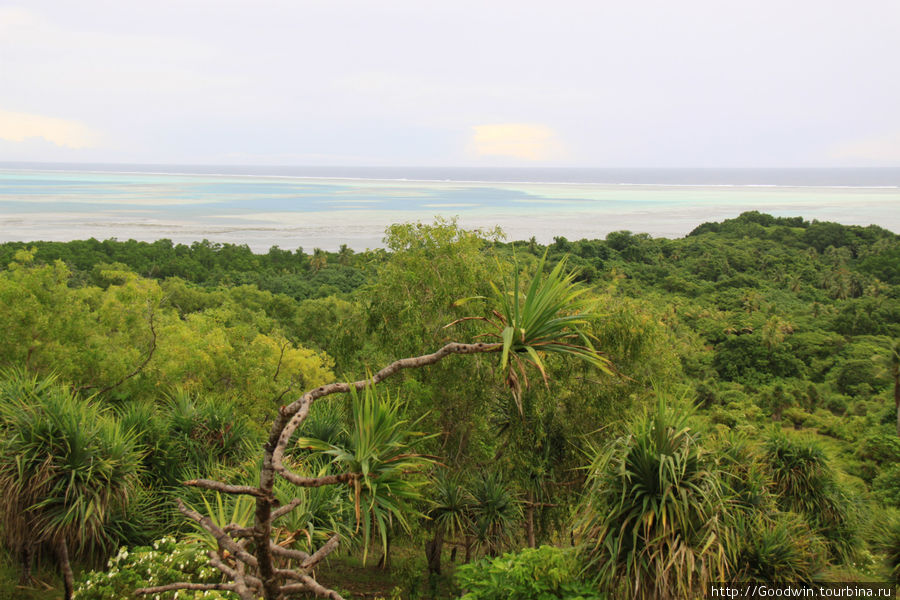 Острова показались мне одним из самых зелёных мест на свете Палау