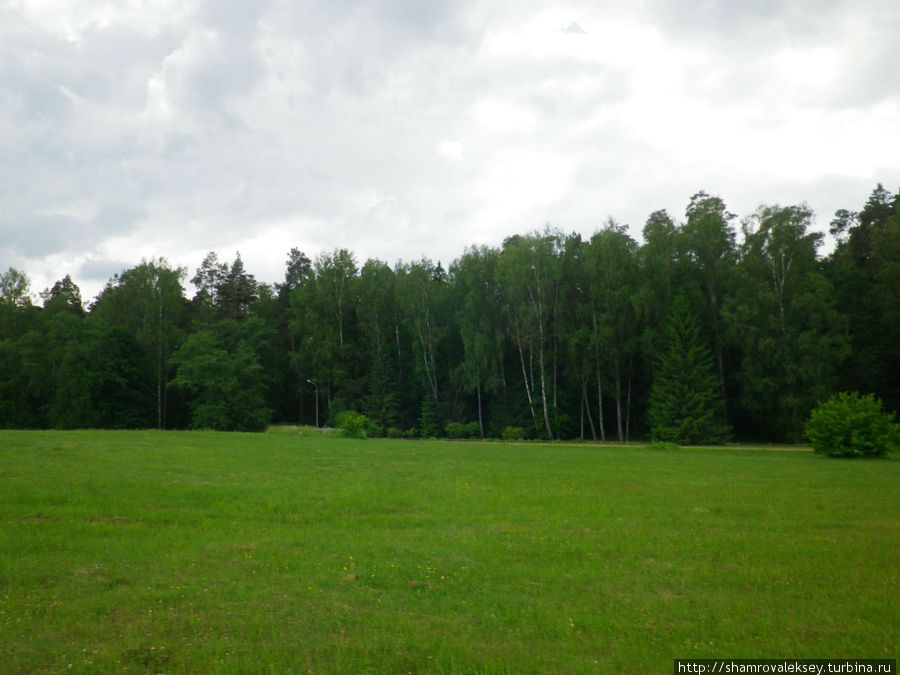 Большой луг (Праздничная поляна) недалеко от автомобильной стоянки Михайловское, Россия