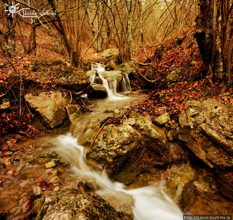 Лесные ручьи в зимнем Крыму. Демерджи Республика Карелия, Россия