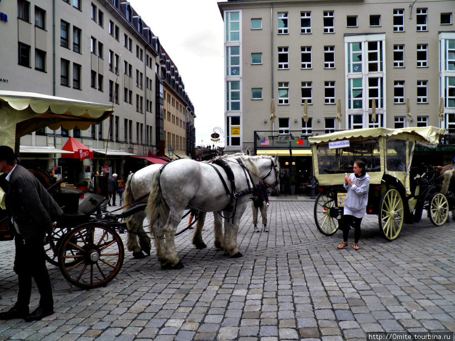 Дрезденские лошадки. Дрезден, Германия