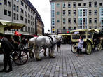 Дрезденские лошадки.