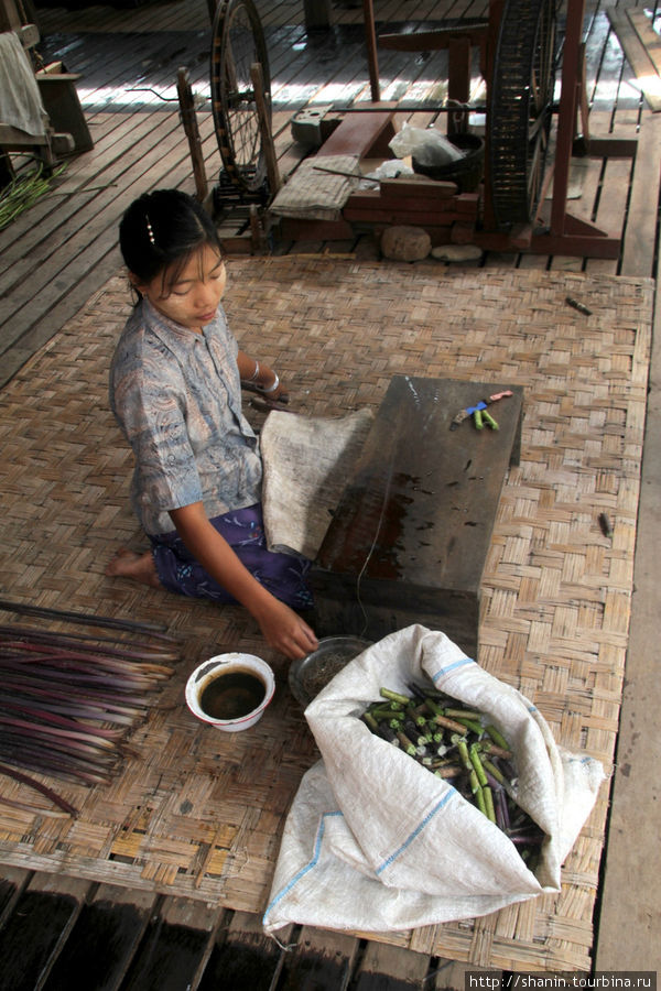 Заготовка нитей из стеблей лотоса — вручную Ньяунг-Шве, Мьянма
