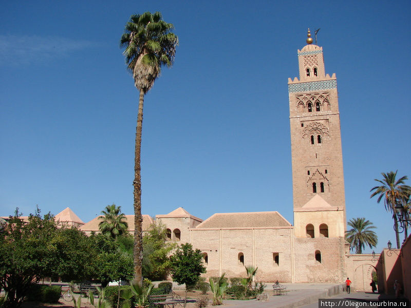 Живут себе своей восточной жизнью Марракеш, Марокко