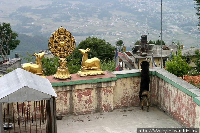 Женский монастырь Наги-Гомпа, окрестности Катманду Катманду, Непал