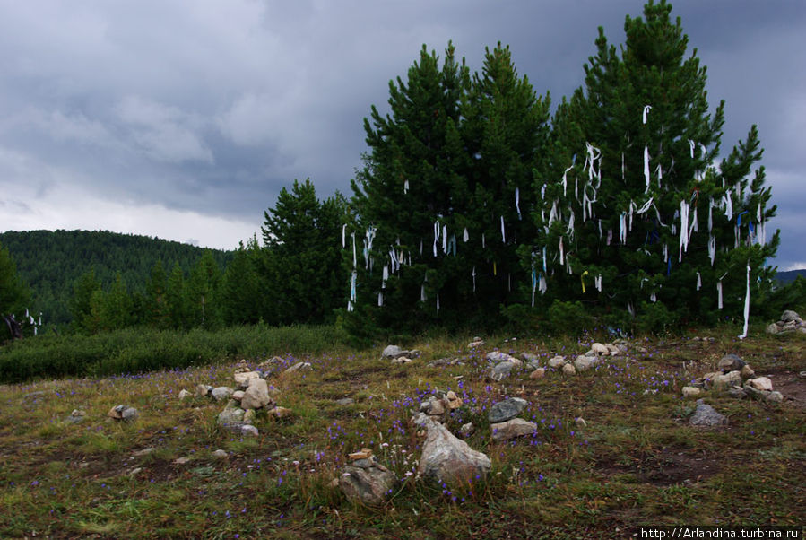 Каменные туры (обо), ритуальные ленточки-ялама(кыйра) на деревьях. Улаган, Россия