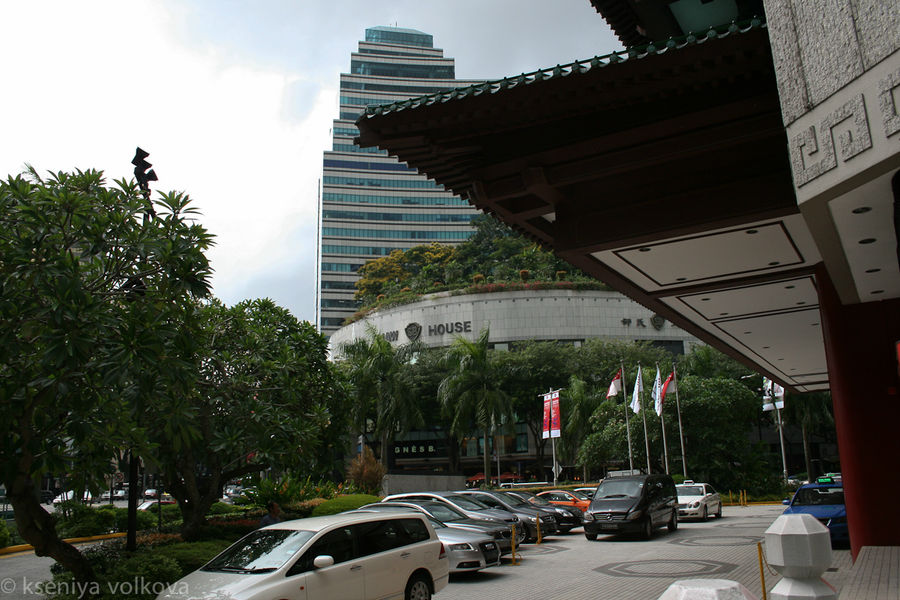 Сингапур: небоскребы, зелень и дожди Сингапур (город-государство)