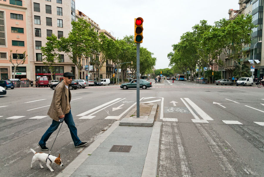 Джек Рассел терьер самая популярная тут собака. Барселона, Испания