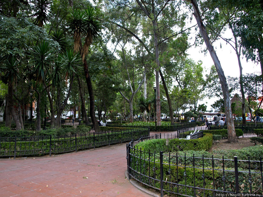 Парк на центральной площади Федеральный округ, Мексика