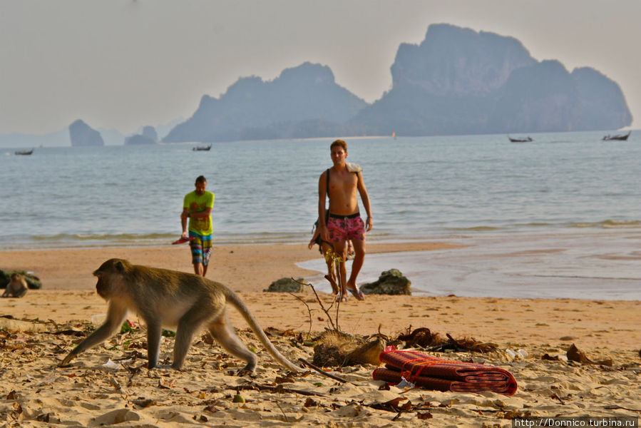 Дети пляжа Ао Нанг Краби, Таиланд