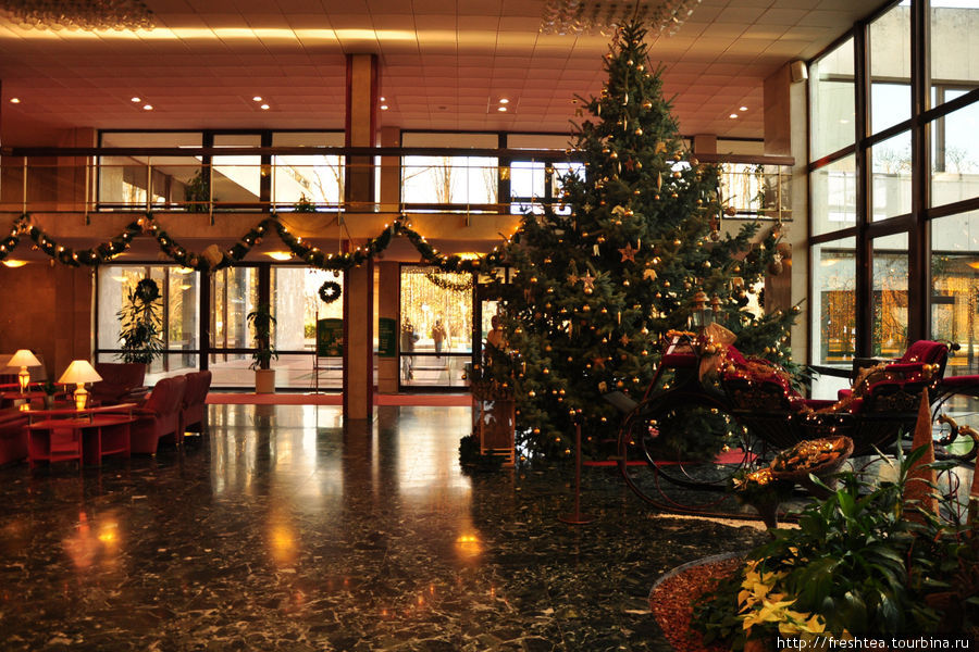 Холл отеля в предверии Рождества и Новогодних праздников: елка настоящая, сани рядом с ней — тоже. Пьештяны, Словакия