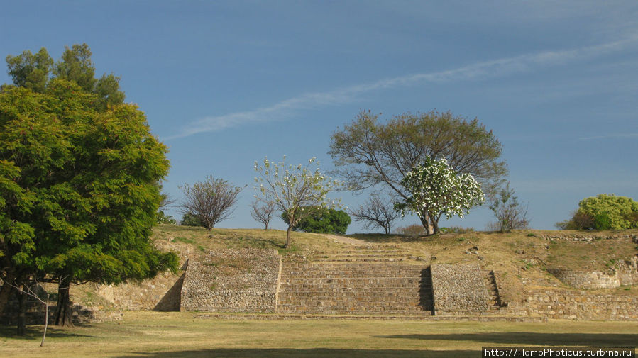Монте-Альбан Монте-Альбан