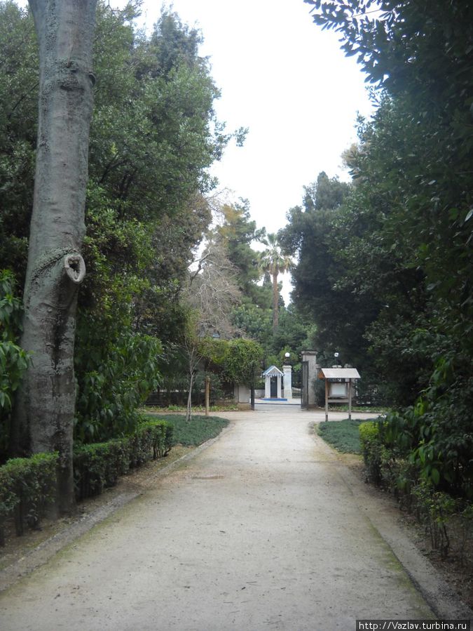 Ухоженная территория Ухоженная территория