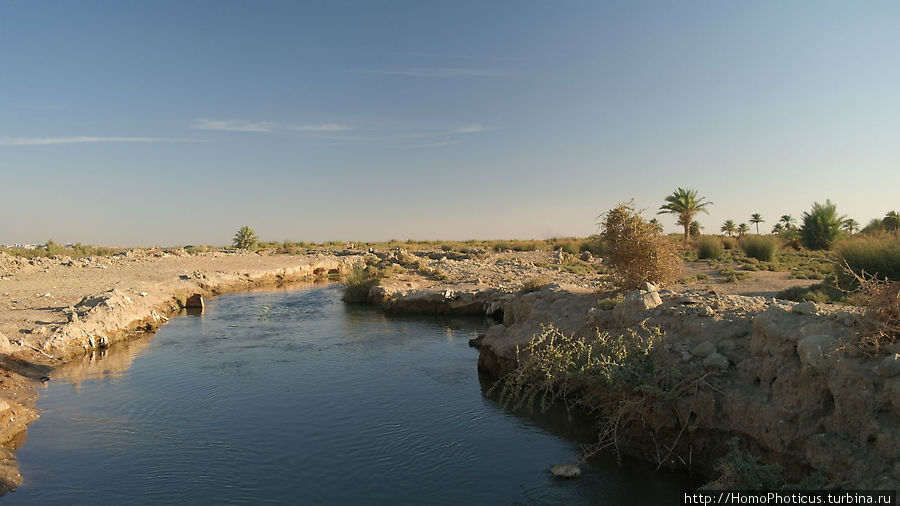 На берегу озера мира Ан-Наджаф, Ирак