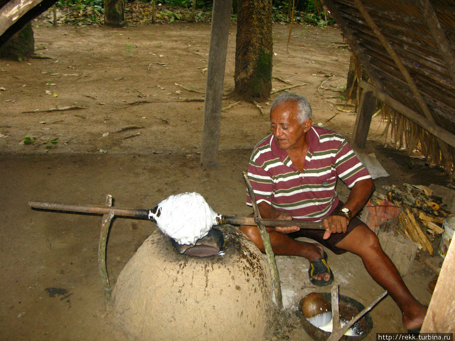 Деревня живет древним промыслом — собирает каучук с резиновых деревьев и обжигает его. Манаус, Бразилия