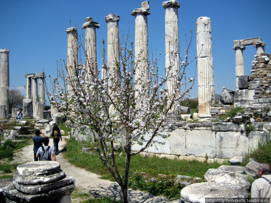 Афродисиас - античный город, который интересно посмотреть.