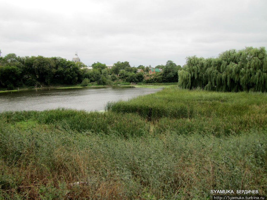 По одной из версий, река  названа так из-за местности, по которой протекает: болотистой, гнилой, вот и назвали Гнилая Пять... Бердичев, Украина