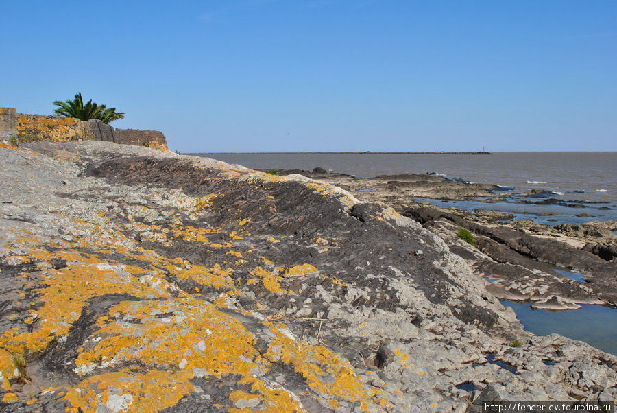 Скалистый берег уругвайский