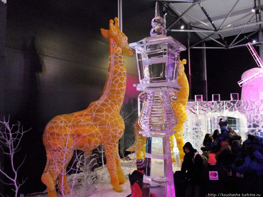 Выставка ледяных скульптур Иерусалим, Израиль Выставка ледяных скульптур Иерусалим, Израиль