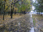 Осень в Выхино.2008 г.