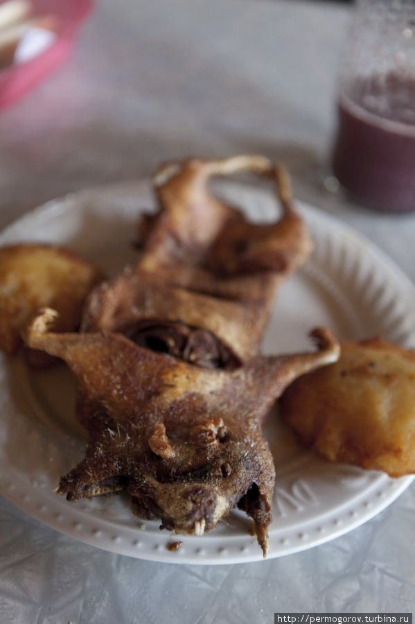Куй и с чем его едят Пасто, Колумбия