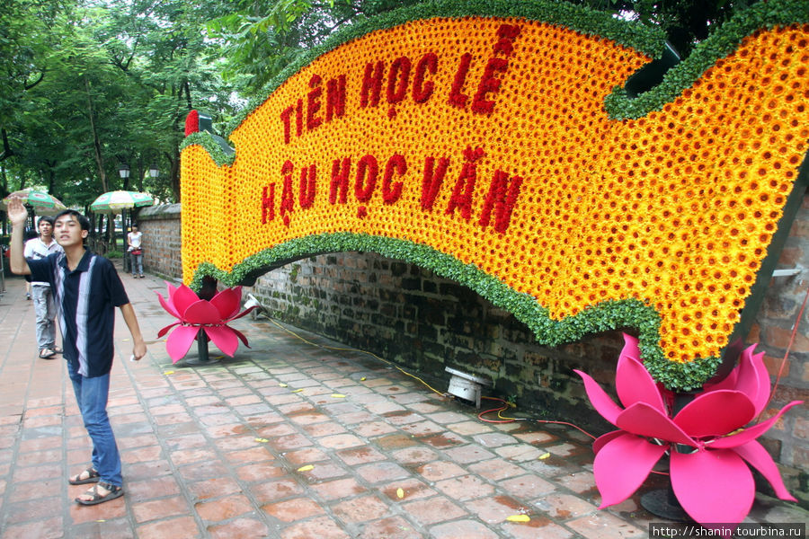 Цветы в храме Литературы Ханой, Вьетнам