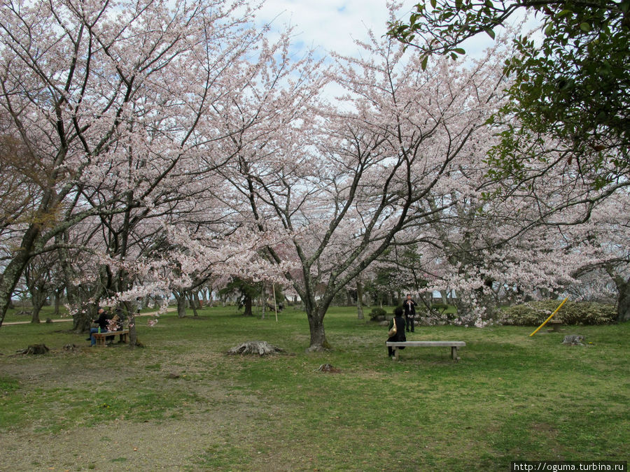 Ещё один сад рядом с главной башней Хиконэ, Япония