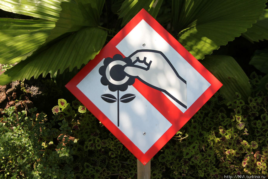 Вот такие оригинальные дорожные знаки сопровождают вас во время путешествия... Сингапур (город-государство)
