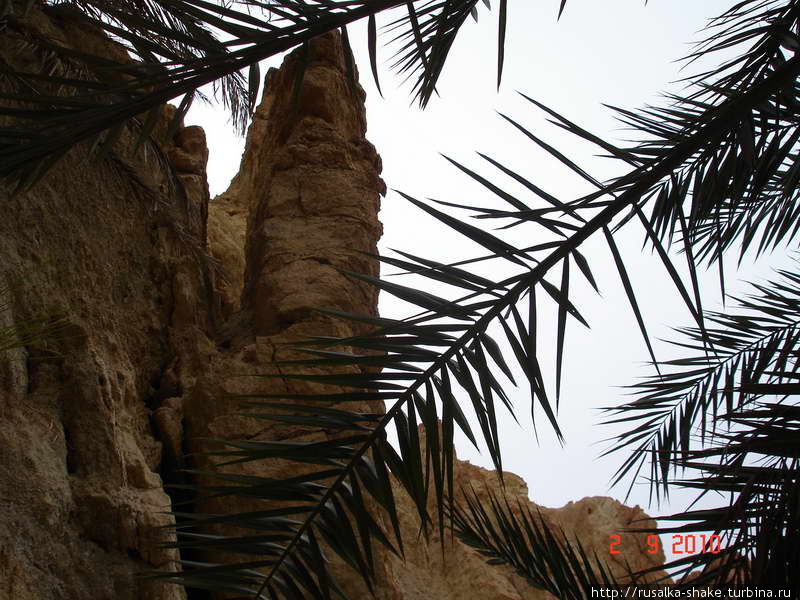 Оазис Нефта Нефта, Тунис