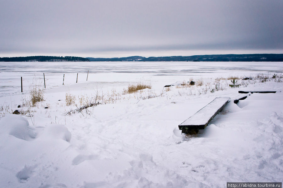 Берег заледеневшего озера Нурмес, Финляндия