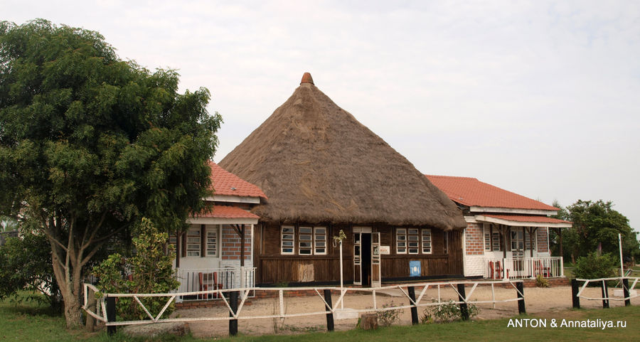 Рецепция. Рецепция.