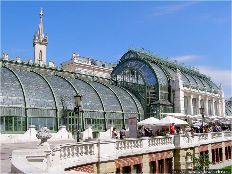 Пальмовая аллея или павильон бабочек, построена в стиле модерн Вена, Австрия