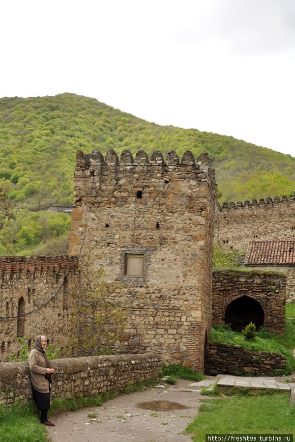 Комплекс защищали мощные стены с оборонительными башнями. Ананури, Грузия
