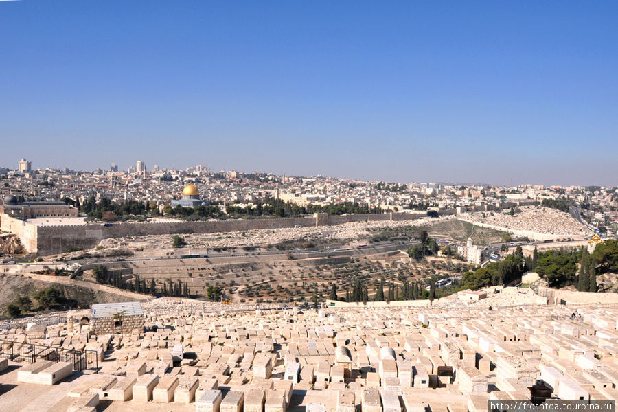 Вид на Старый город и древнейшее еврейское кладбище на склонах Масличной горы.  Ее от Старого города отделяет участок Кедронского ущелья, что в иудаизме известен как долина Иосафат. Согласно пророчествам, сюда 