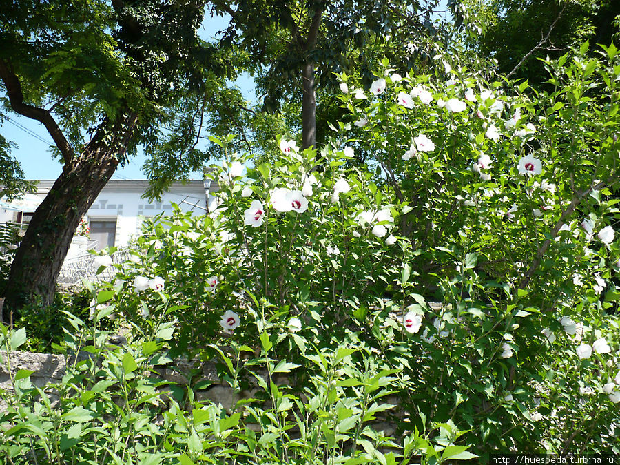 Балчик — город на горе Балчик, Болгария Балчик — город на горе Балчик, Болгария
