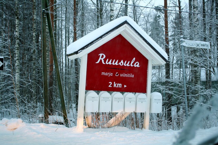 Путеводитель по интересным местам в Ювяскюля (Центральная Финляндия)