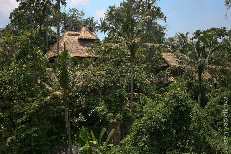 Зеленый Убуд Убуд, Индонезия Зеленый Убуд Убуд, Индонезия