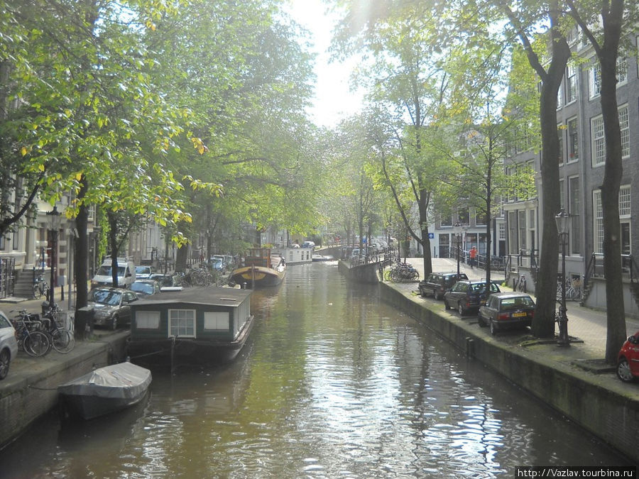 Цветущий город Амстердам, Нидерланды
