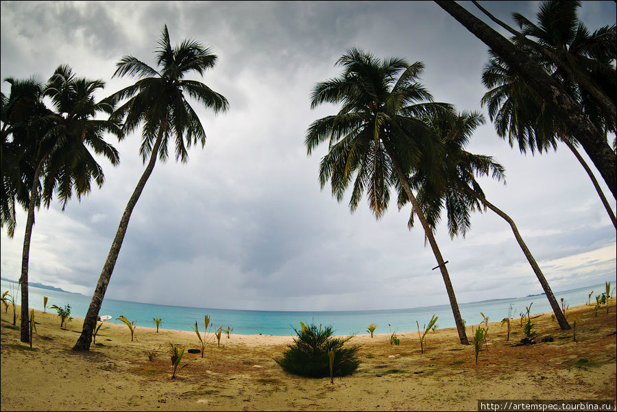 Вид с террасы. Маленькие ростки — это посаженные владельцем отеля кокосовые пальмы, которые уже через 5 лет достигнут пятиметровой высоты. Суматра, Индонезия