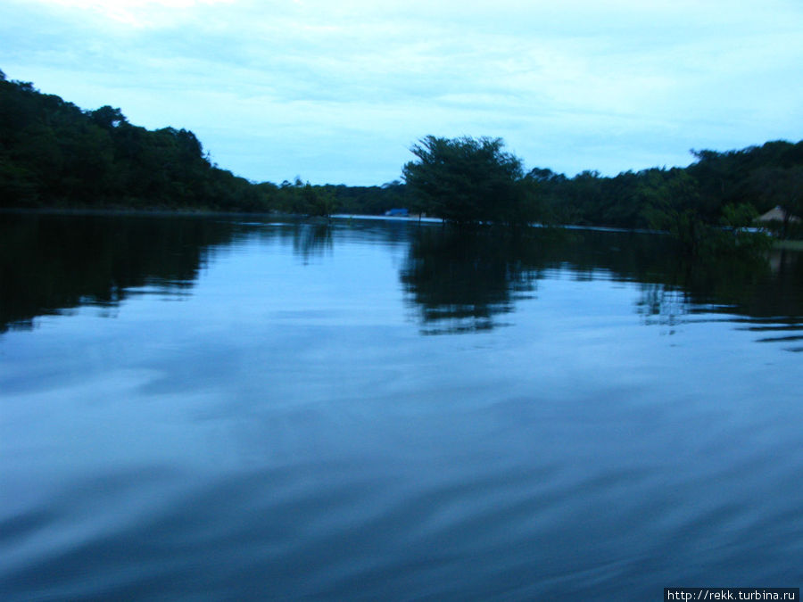 Амазонка (Рио Негре в данном случае) ночью — это что-то. Таинственная, кричащая все теми же древесными лягушками, бормочущая всплесками, шорохами и шелестами Манаус, Бразилия