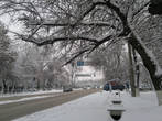 Чтобы не говорили, что в Алматы не бывает снега. Бывает под толщей снега падают деревья и рвутся провода.