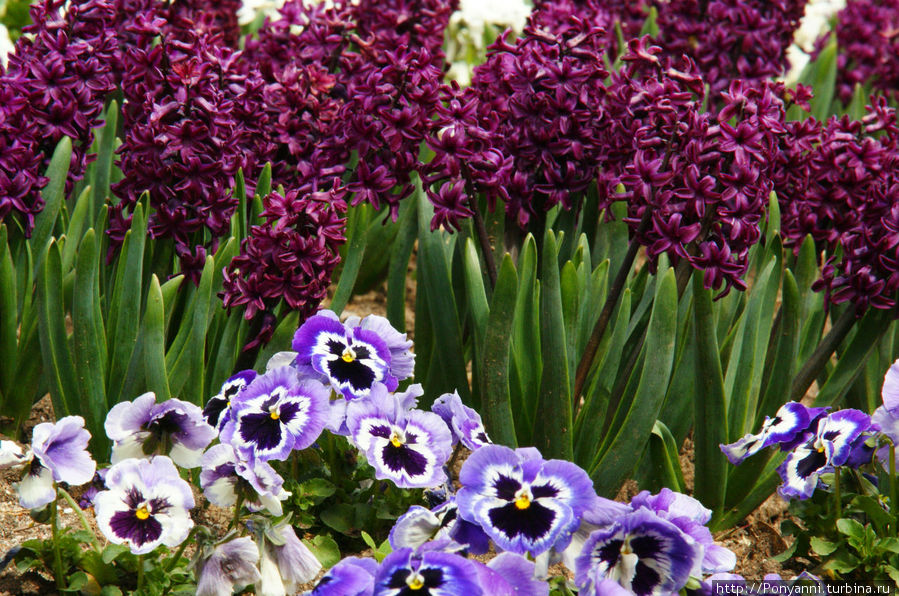 В Киллесберг-парке. Штутгарт, Германия В Киллесберг-парке. Штутгарт, Германия