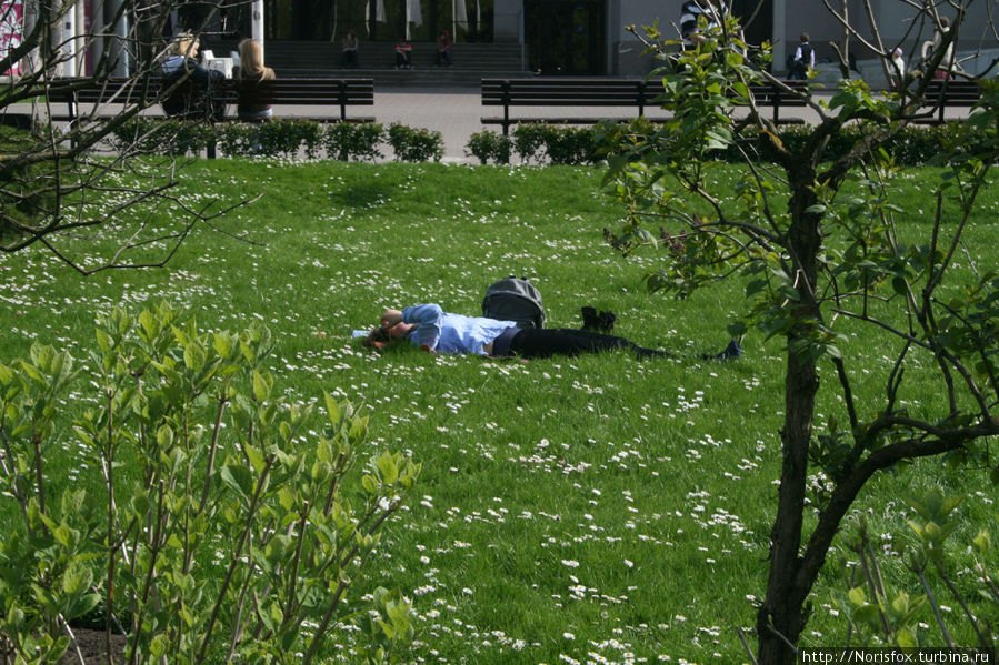 прилег отдохнуть... Рига, Латвия прилег отдохнуть... Рига, Латвия