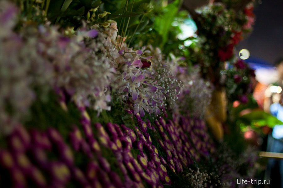 Цветочный фестиваль в Чианг Май Чиангмай, Таиланд