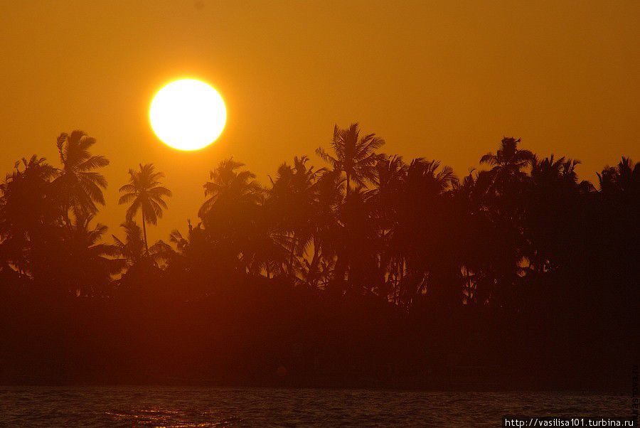 Унаватуна: море-солнце-пальмы-пляж Унаватуна, Шри-Ланка