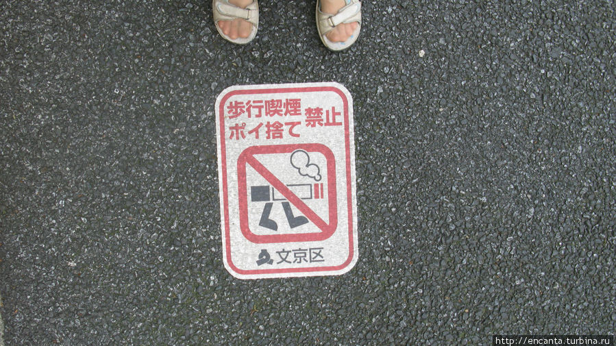 ходящие сигареты запрещены, а лежащие..)) Япония