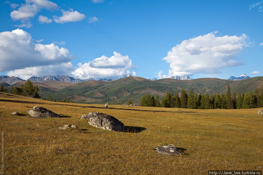 Вид на Южно-Чуйский хребет Джазатор, Россия