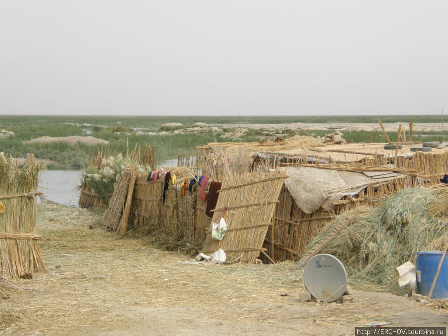 Болотный хутор Провинция Басра, Ирак