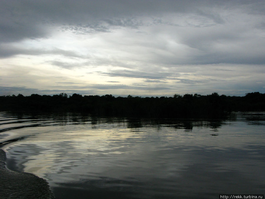 Река опять становилась черно-белой, но шум мотора заглушил верещание наших друзей-лягушек Манаус, Бразилия