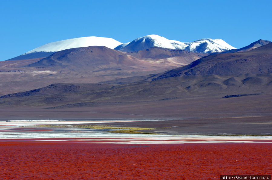 Озеро крови Боливия