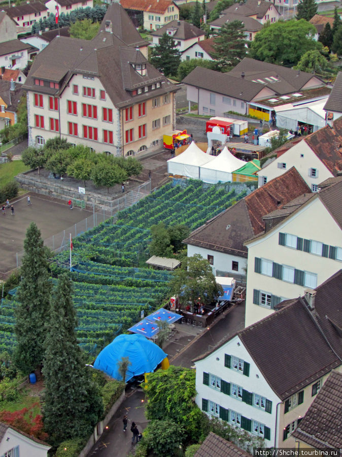 ... даже виноградники соседствуют с улицами и площадями Зарганс, Швейцария